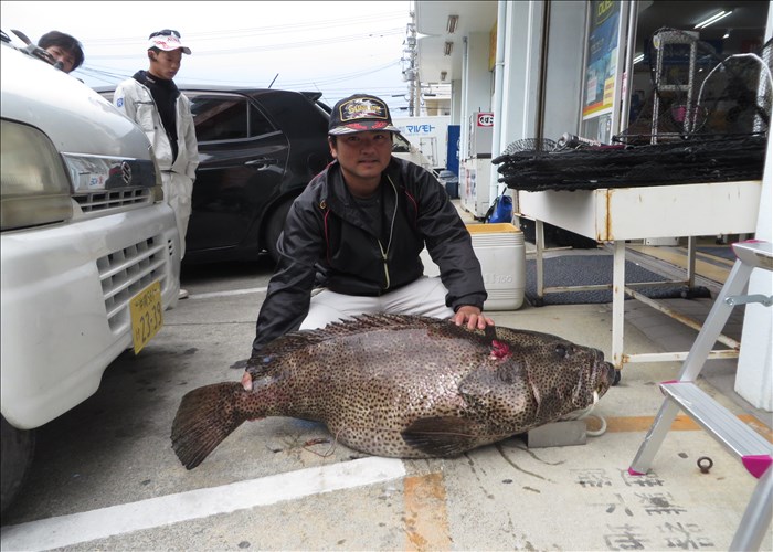 沖縄の釣り 釣果報告 フィッシングステップ名護店