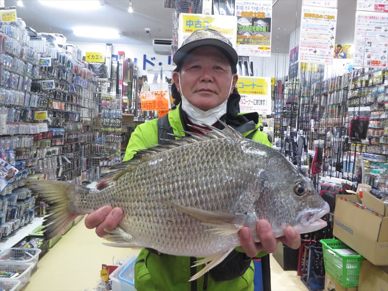 沖縄の釣り 釣果報告 フィッシングステップ名護店