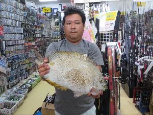 沖縄の釣り 釣果報告 フィッシングステップ名護店