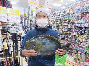 沖縄の釣り 釣果報告 フィッシングステップ名護店